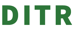 DIAMONDZ IN THE ROUGH logo